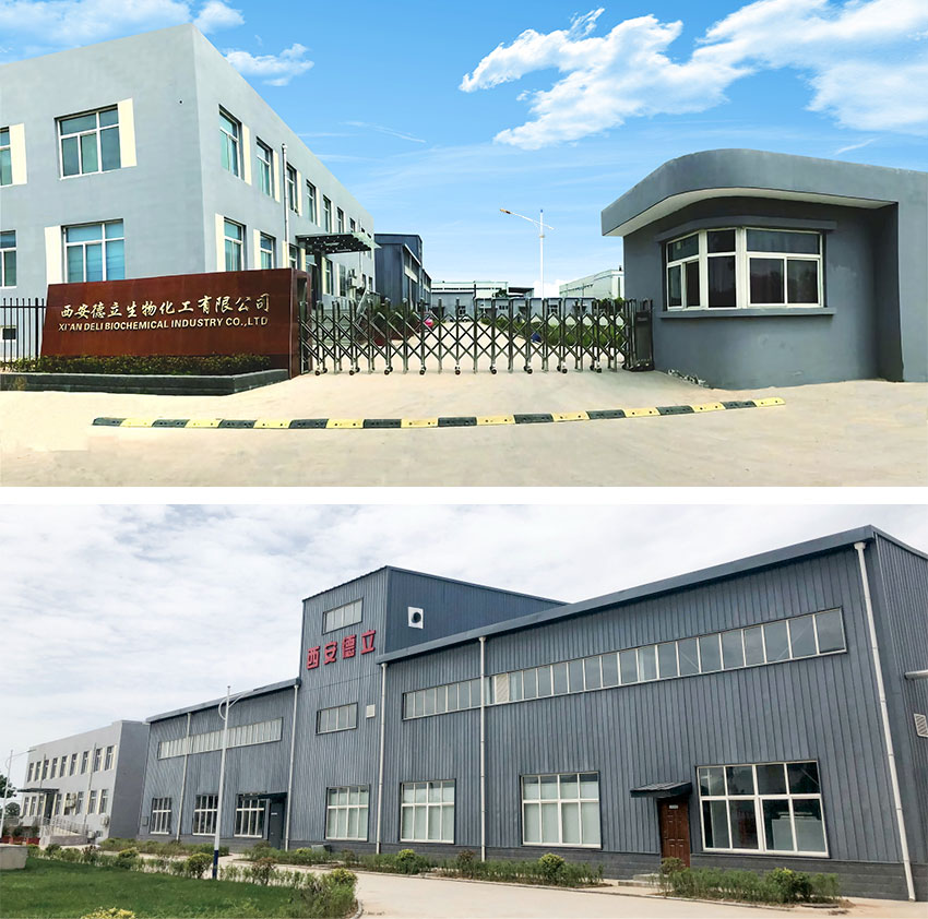 „Xi'an Deli Biochemical Industry Co., Ltd“: Pagrindinė inovacija ciklodekstrino dariniuose, įgalinant farmacijos pramonę
