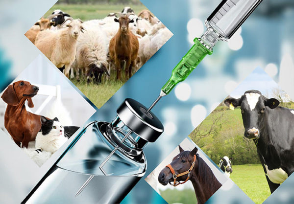 Veterinarinių vaistų, sergančių hidroksipropil Betadex